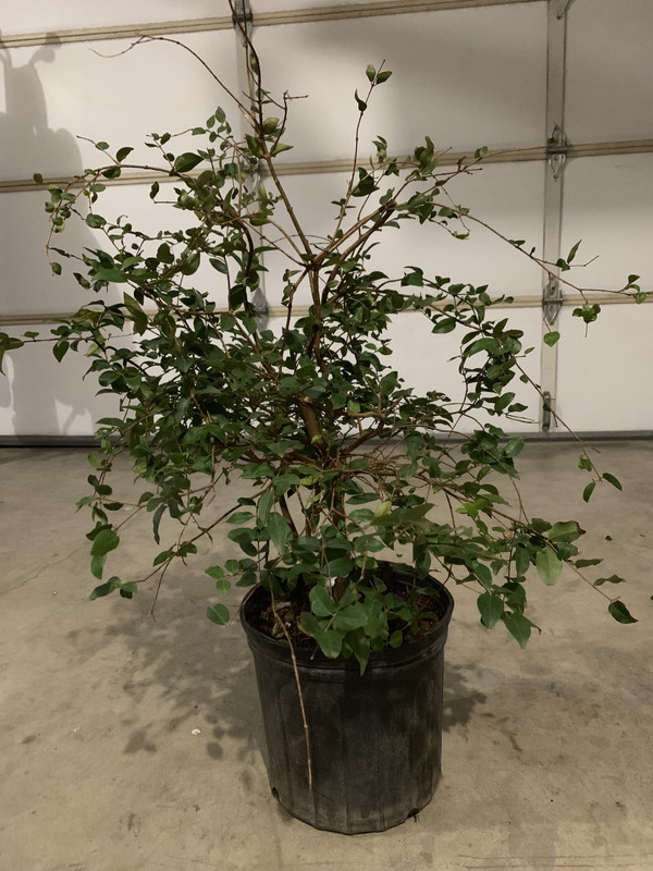 20784B59-5D7A-4EAB-9E48-DE7518BABA70