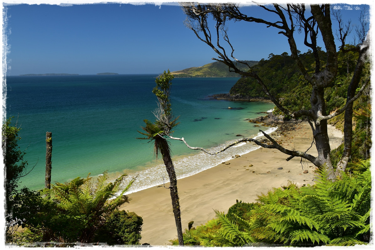 Escapadas y rutas por la Nueva Zelanda menos conocida - Blogs de Nueva Zelanda - Stewart Island:  kiwis, Coast to Coast y unos días en Oban (febrero 2021) (46)