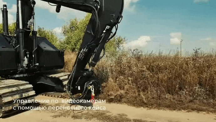 https://i.postimg.cc/8P4kB0sT/video-2026-06-18-03-42-25-(1).gif