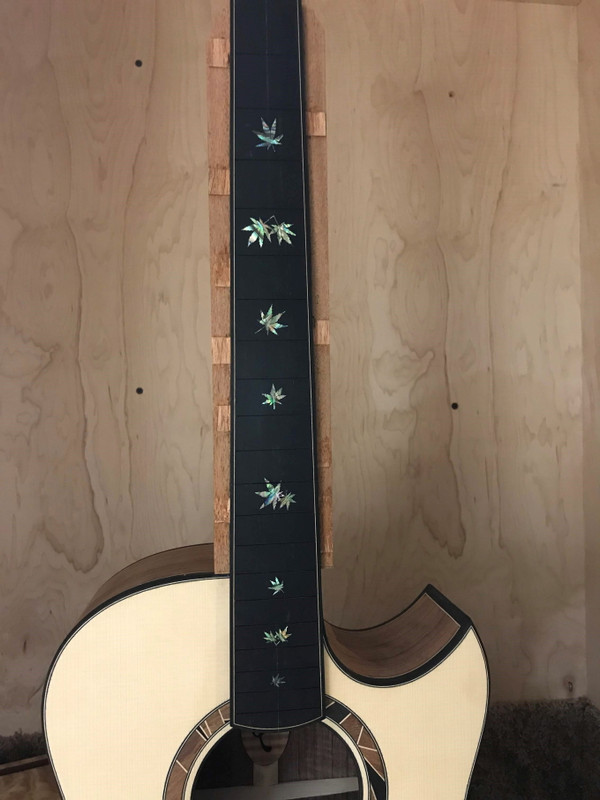 18.IrvinSJCutawayCustom.body and inlay02