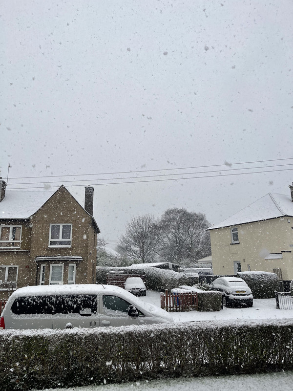 Snowing in Glasgow IMG_6914