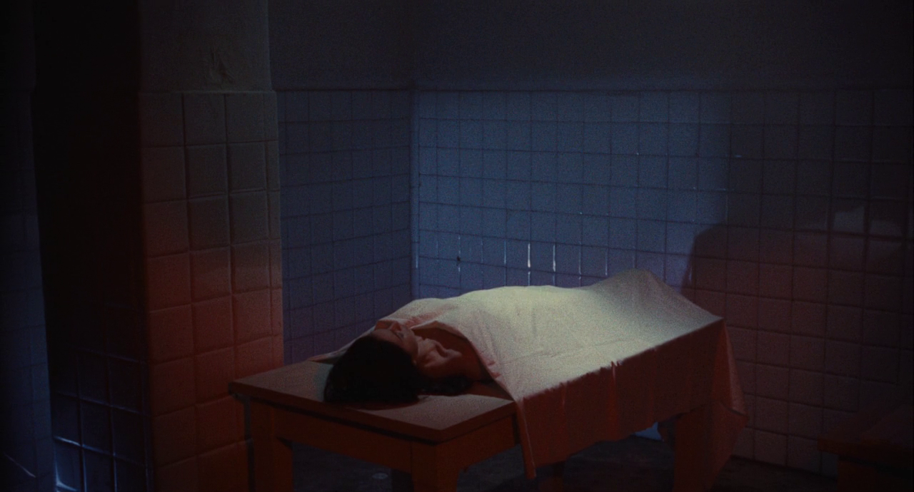 vlcsnap-2023-11-05-15h30m45s066