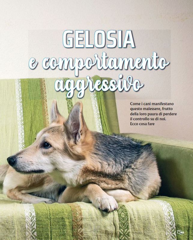 QuattroZampe Nov 2023 (4)