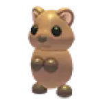 Quokka