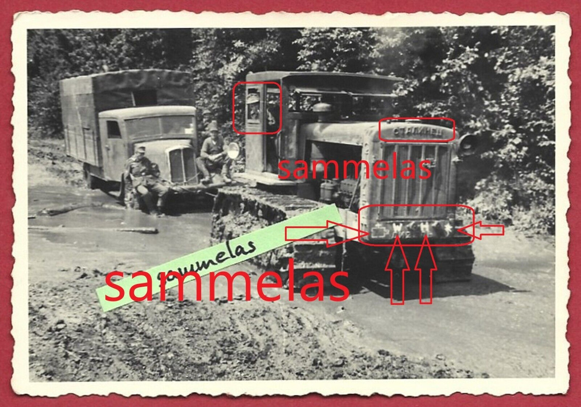 Foto Gebirgsjäger russ. Beute Raupe Edelweiß 1.Geb.Div.Geb.Pio.Btl.54 (2)