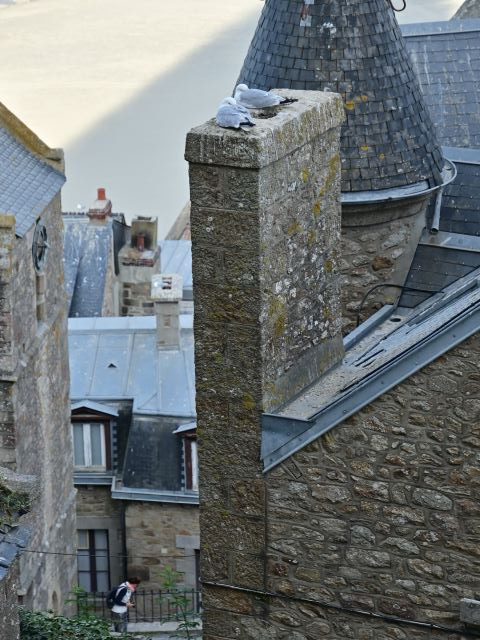 Día 3: Museo de Robert Tatin, Fougères y el Mont Saint-Michel - 10 días de verano en la Bretaña francesa (6)