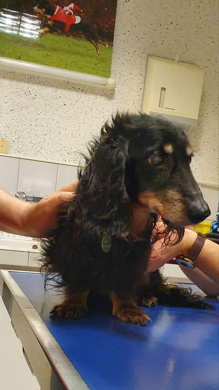 [Image: 20230107-070947.jpg]