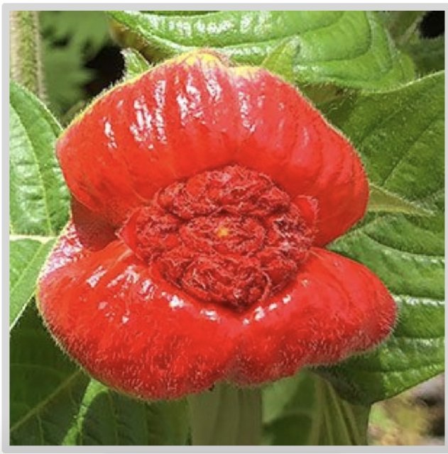 [Image: Screenshot-20200217-113643-Photos.jpg]