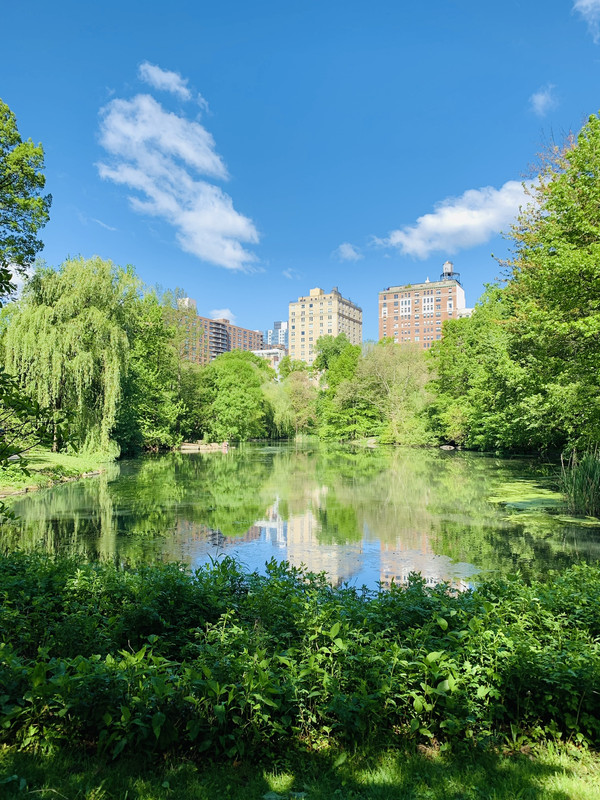 7DE068C3-AB0B-4C2E-A387-3D46D7C70C2B