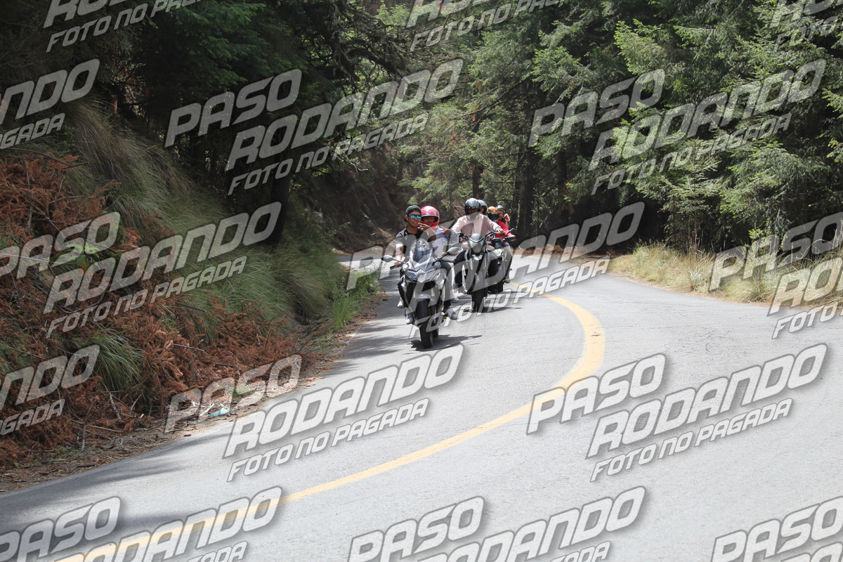 IMG 9047 wm 196645 7000000002 watermarked — Postimages
