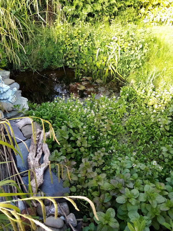 WhatsApp Image 2020-05-26 at 21.24.14