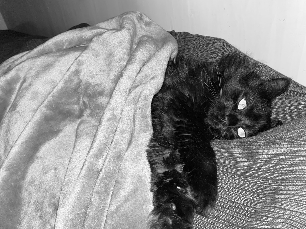 51781BA2-EB80-4C87-A38B-1F5D9664C4A3