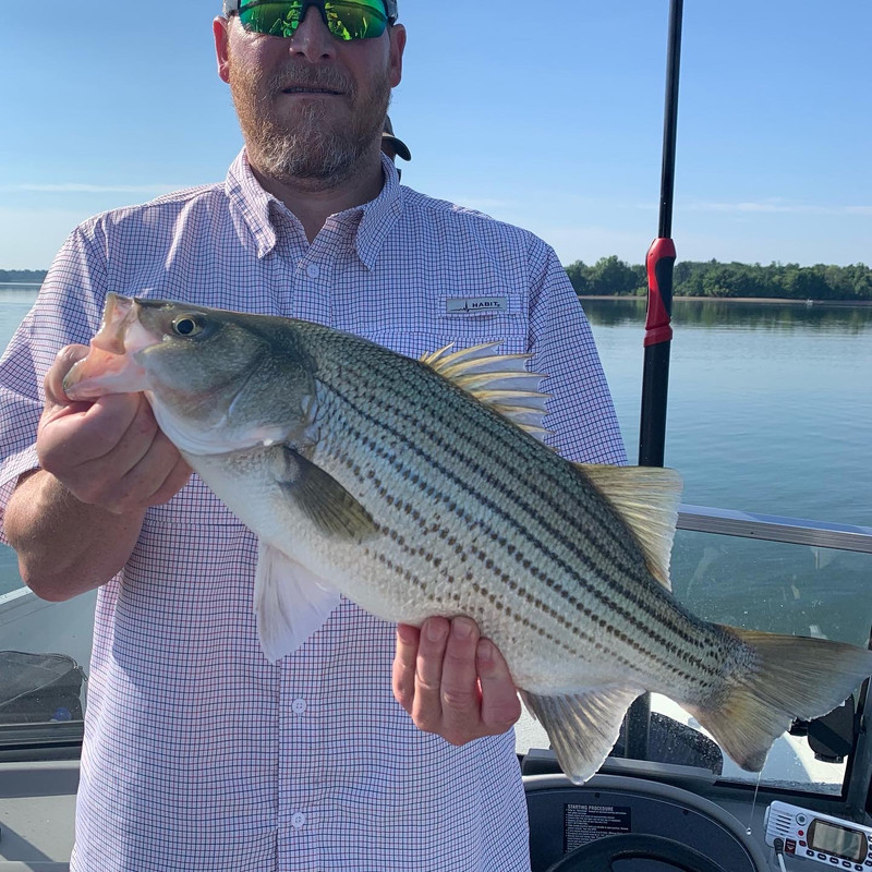 794A89FB-D890-4F04-AF1F-2405852754AB