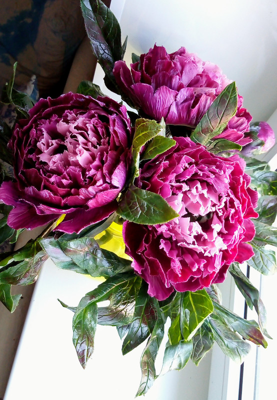 IMG_20180713_140237099