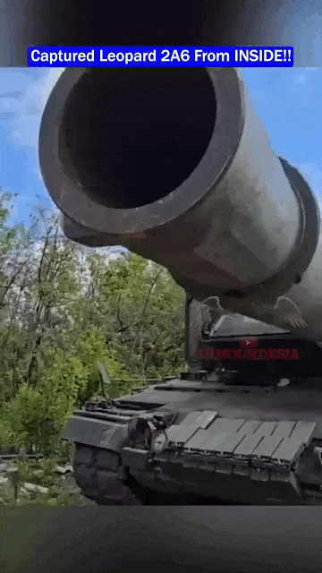 https://i.postimg.cc/8P7CCCG4/video-2026-07-22-01-11-51-(1).gif