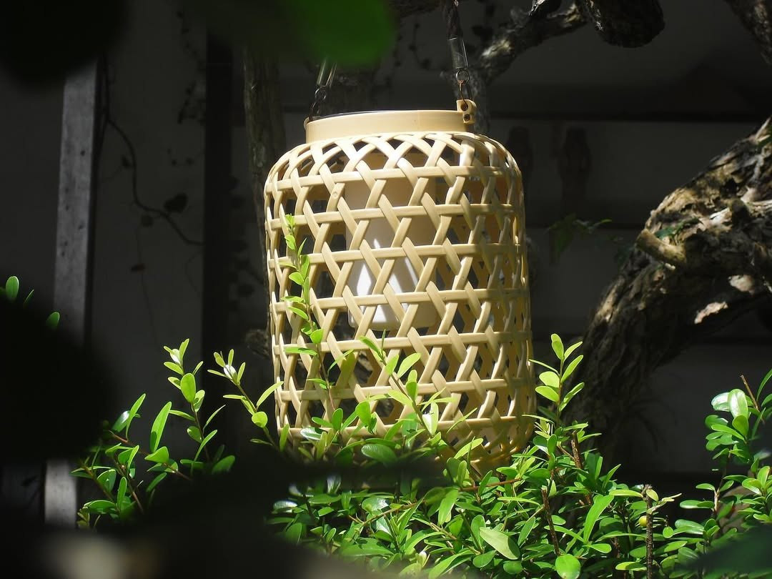 photo 1 2025 12 24 16 04 46