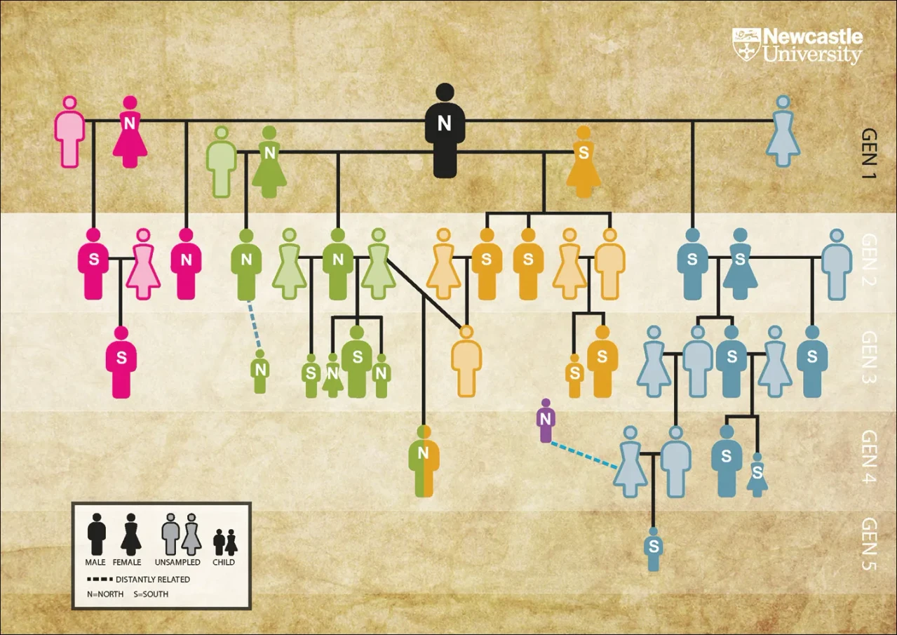 The oldest family tree