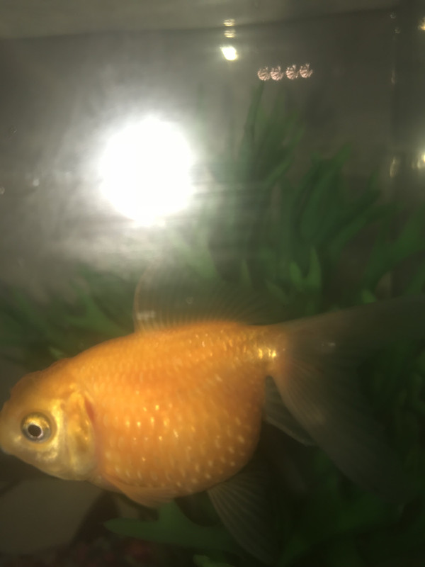 CD3EB20F-6750-4F9F-A163-3F01C1846661