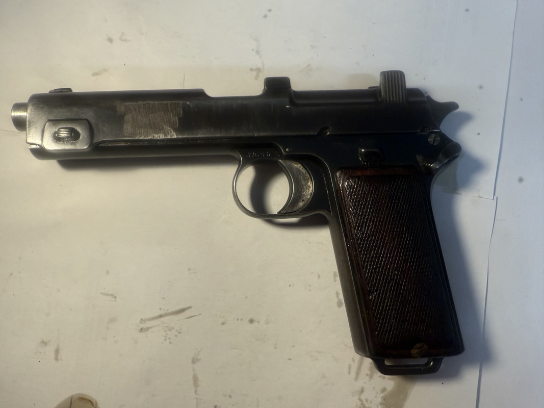 Steyr 1913 Bild 1