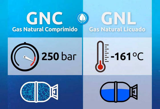 gnl-gnc-161.jpg