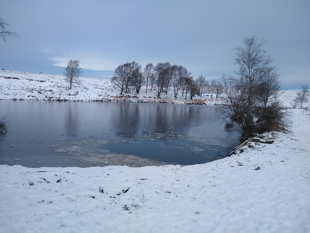 barbrook settling pond