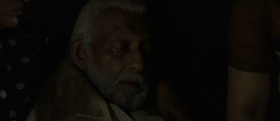 Manorathangal (2024) Season 1 [Hindi + Tamil + Telugu + Malayalam + Kannada] WebRip 480p, 720p ESub - Complete Screenshot