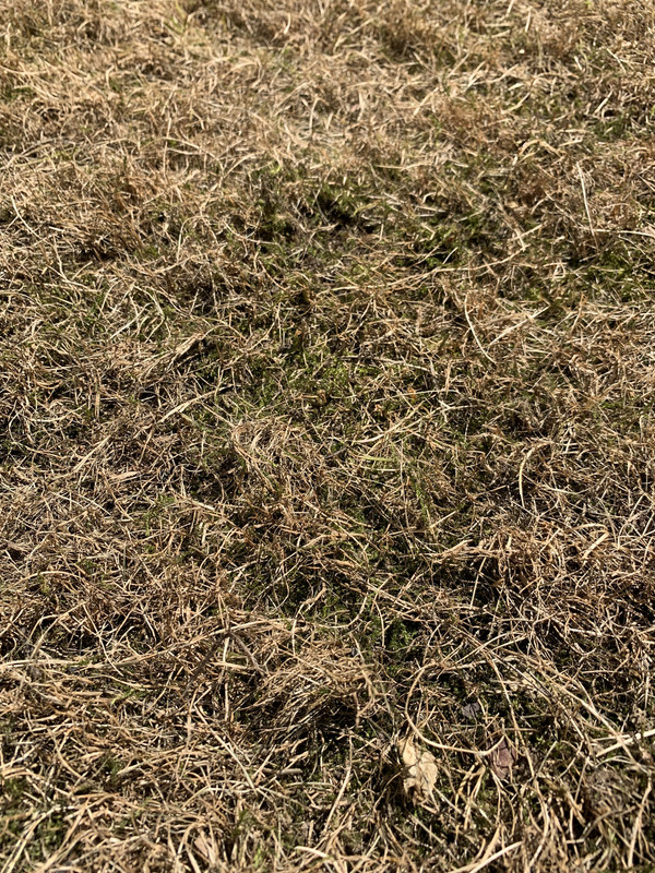 AD7C4019-C28C-43B5-8C9A-F9332DB01304