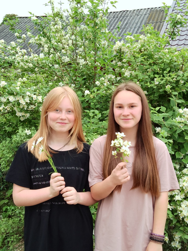 IMG_20250708_174341~2[1]