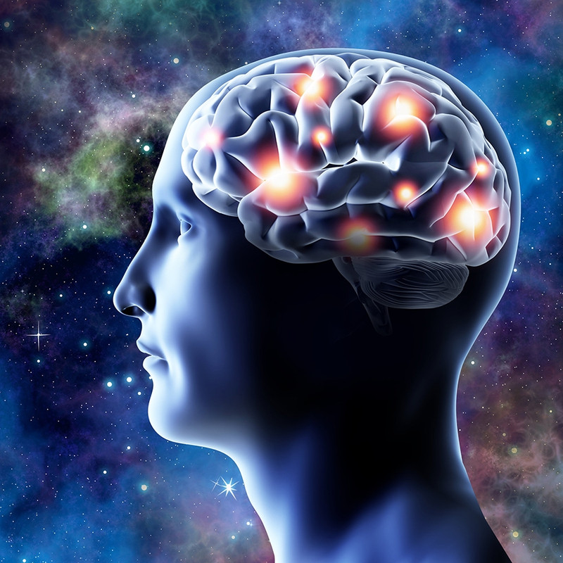 https://i.postimg.cc/8P7wKnzC/neuroplasticidade.jpg