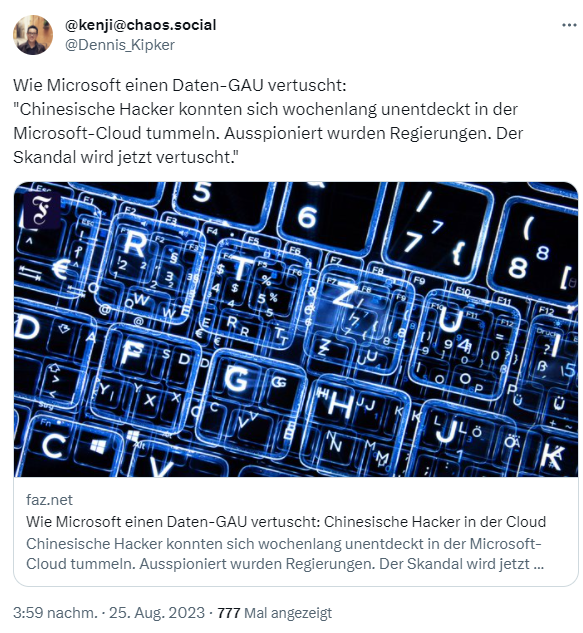 FAZ-Artikel zu Microsofts vertuschtem Daten-GAU