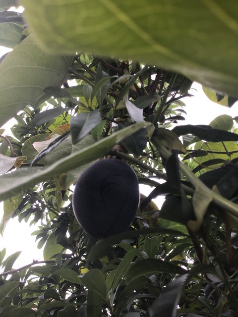 74EAEDAD-E126-4406-99EF-91352A29E599