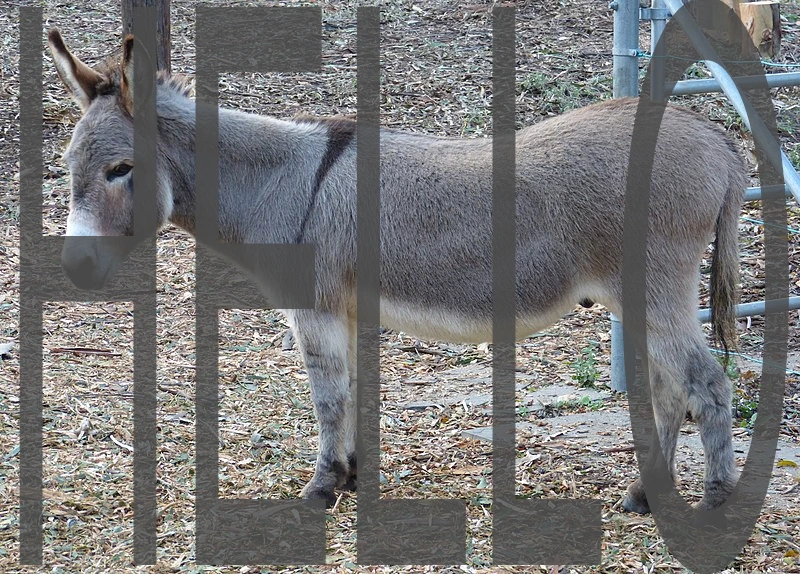 Text to Mask Build With Filters Maker v1 0 20012026152545