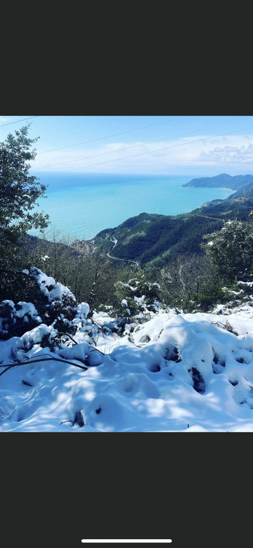 7C568A30-60F2-4972-8BC9-EE68C3CC569E