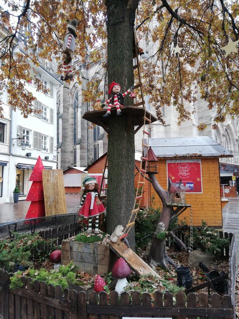 Puente de la Inmaculada 2022 en Alsacia - Blogs de Francia - VIAJE A ALSACIA EN NAVIDAD (4)