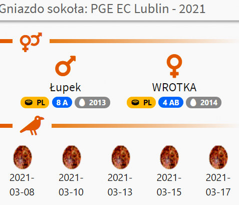 PGE Lublin. Male Łupek (8 A - 2013) & Female WROTKA (4 AB - 2014) - Pagina 3 Przechwytywanie-w-trybie-pe-noekranowym-23-03-2021-112752