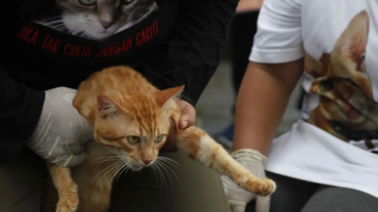 Kekhawatiran Warga Tentang Keberadaan Hewan Liar di Lingkungan Mereka