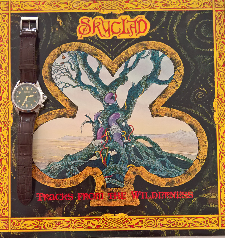 WP_20190526_14_33_16_Pro_LI (2)