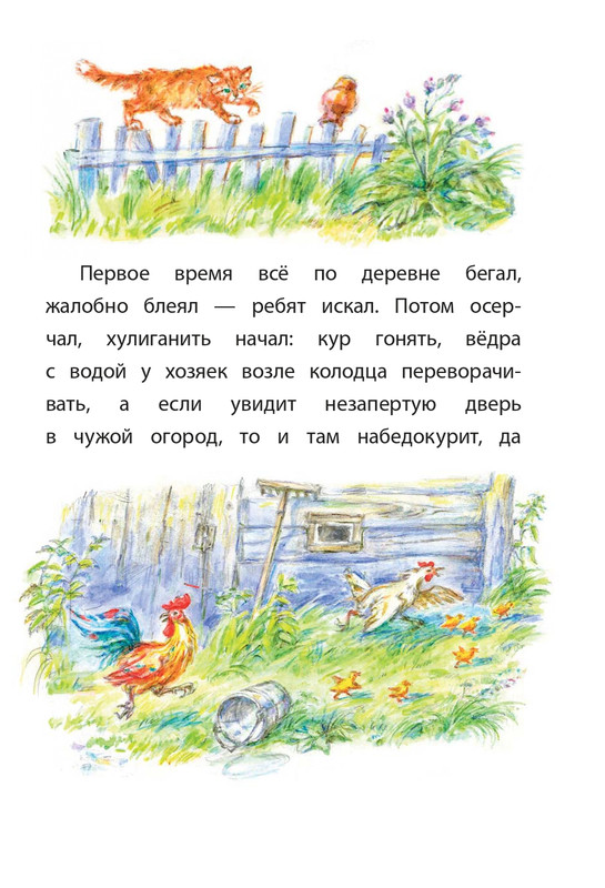 2015-page-0026
