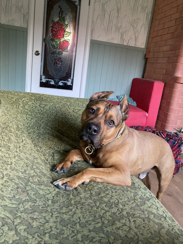 14A7830A-6562-431B-A535-3BF80EACB2A3