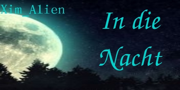 In die Nacht In die Nacht
