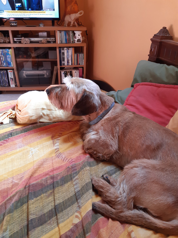 [Image: 20200622-101656.jpg]