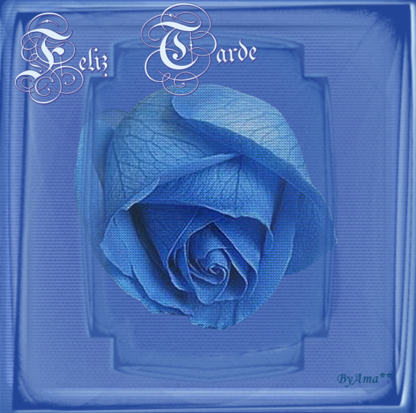 Rosa Azul de El Cairo Tarde