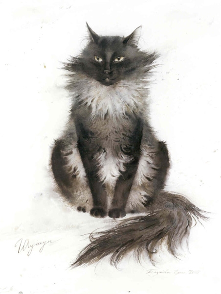 cat1
