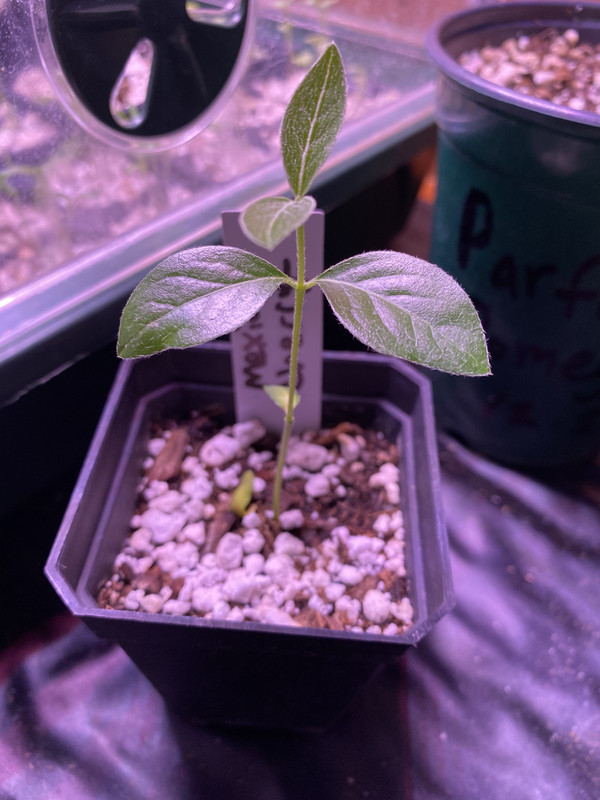 052A90BA-B324-4E56-A94D-1D5BE787BC14