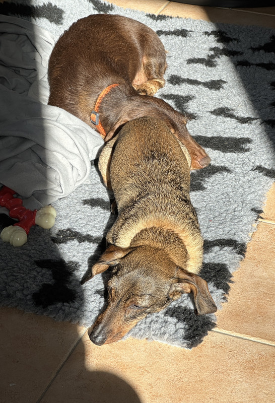 [Image: IMG-5125.jpg]