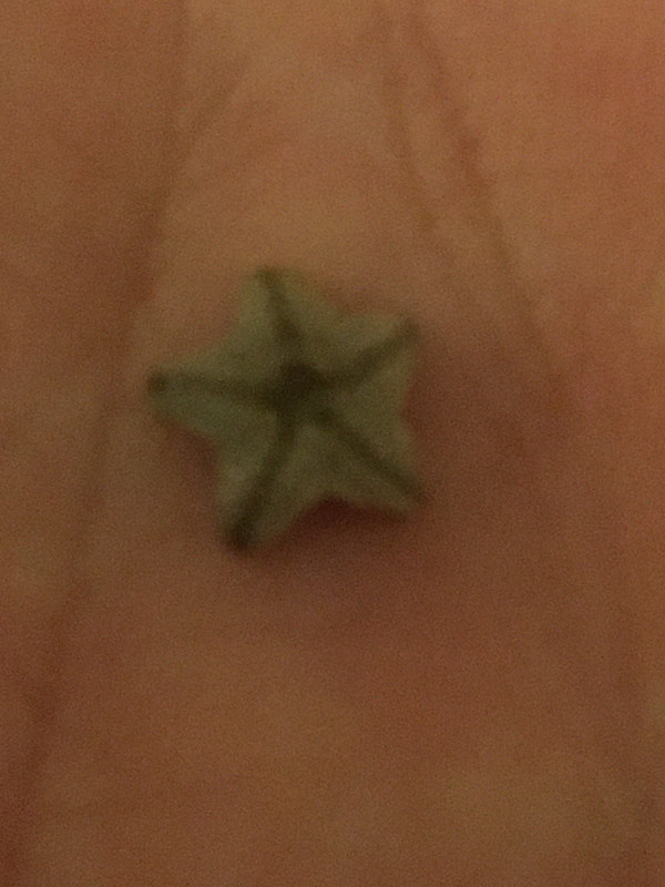 4C978625-0715-48A1-B240-F4ACD1BBD23D