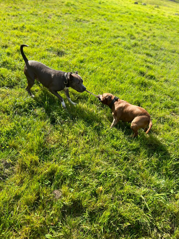 0F7F3DFD-7317-452A-8977-C2E270555AE3