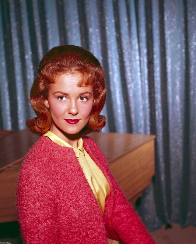 shelley_fabares_b95