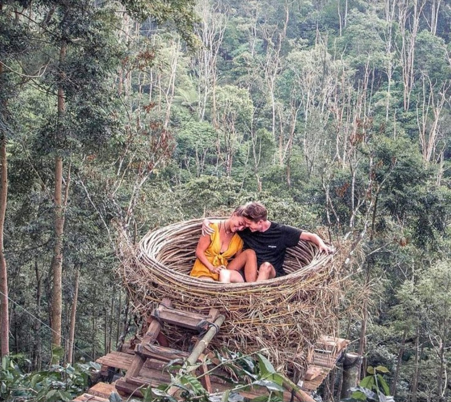 Screenshot_20230226_232624_Pinterest