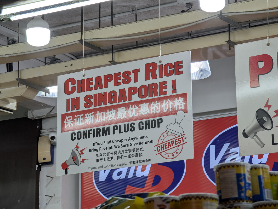 PXL_20241014_094436332